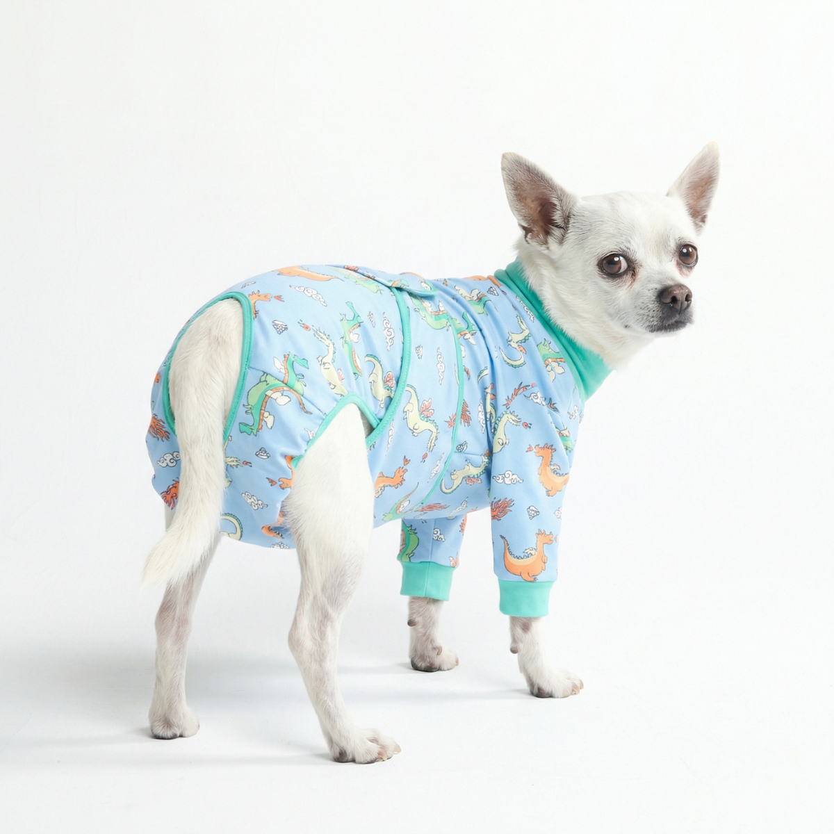 Dog Surgical Suit