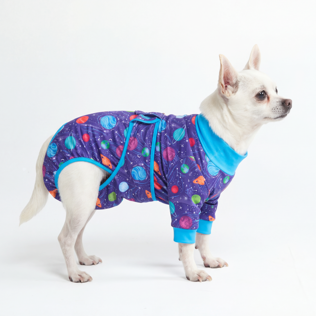 Dog Surgical Suit