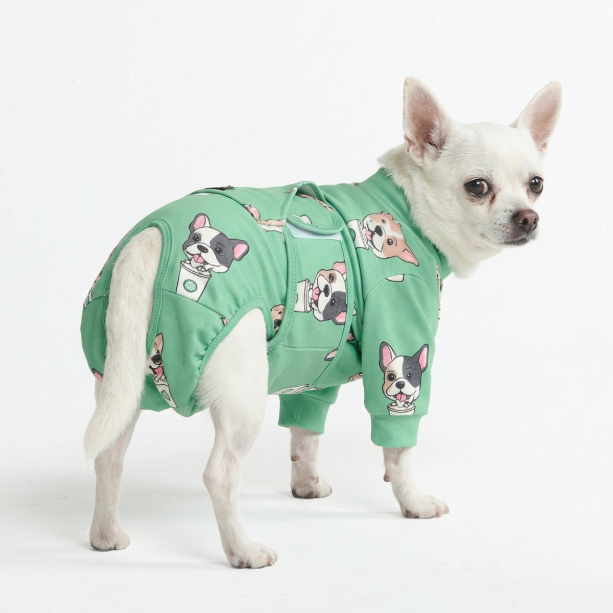 Dog Surgical Suit