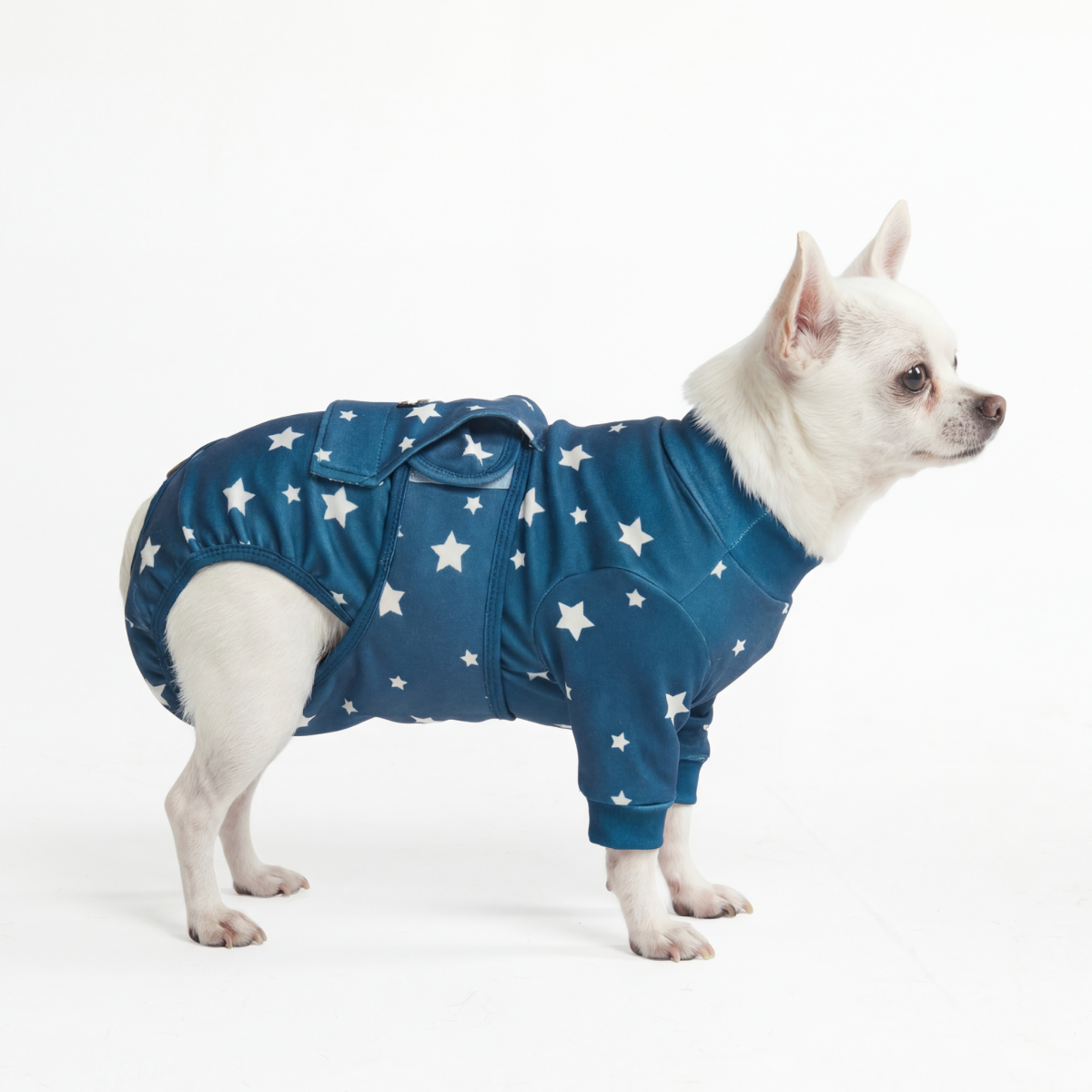 Dog Surgical Suit