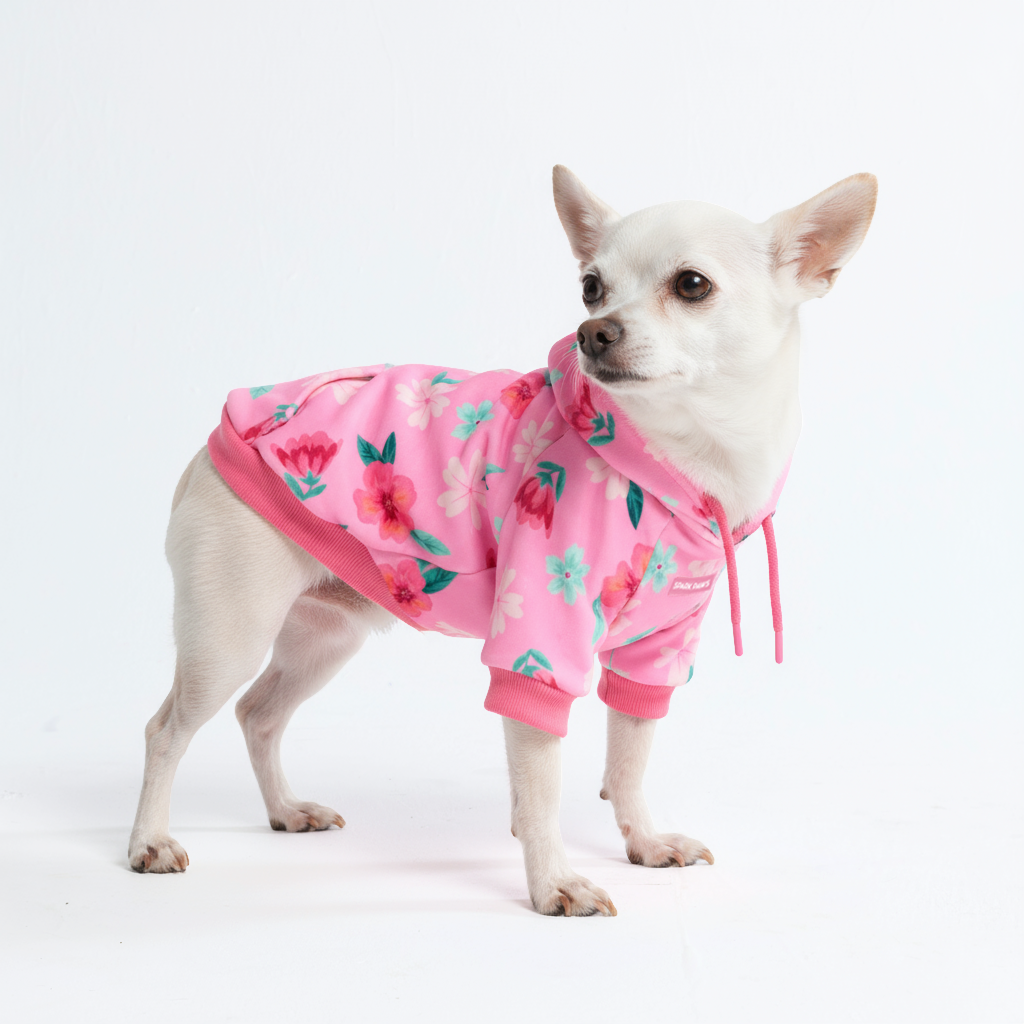 Dog Hoodie Prints