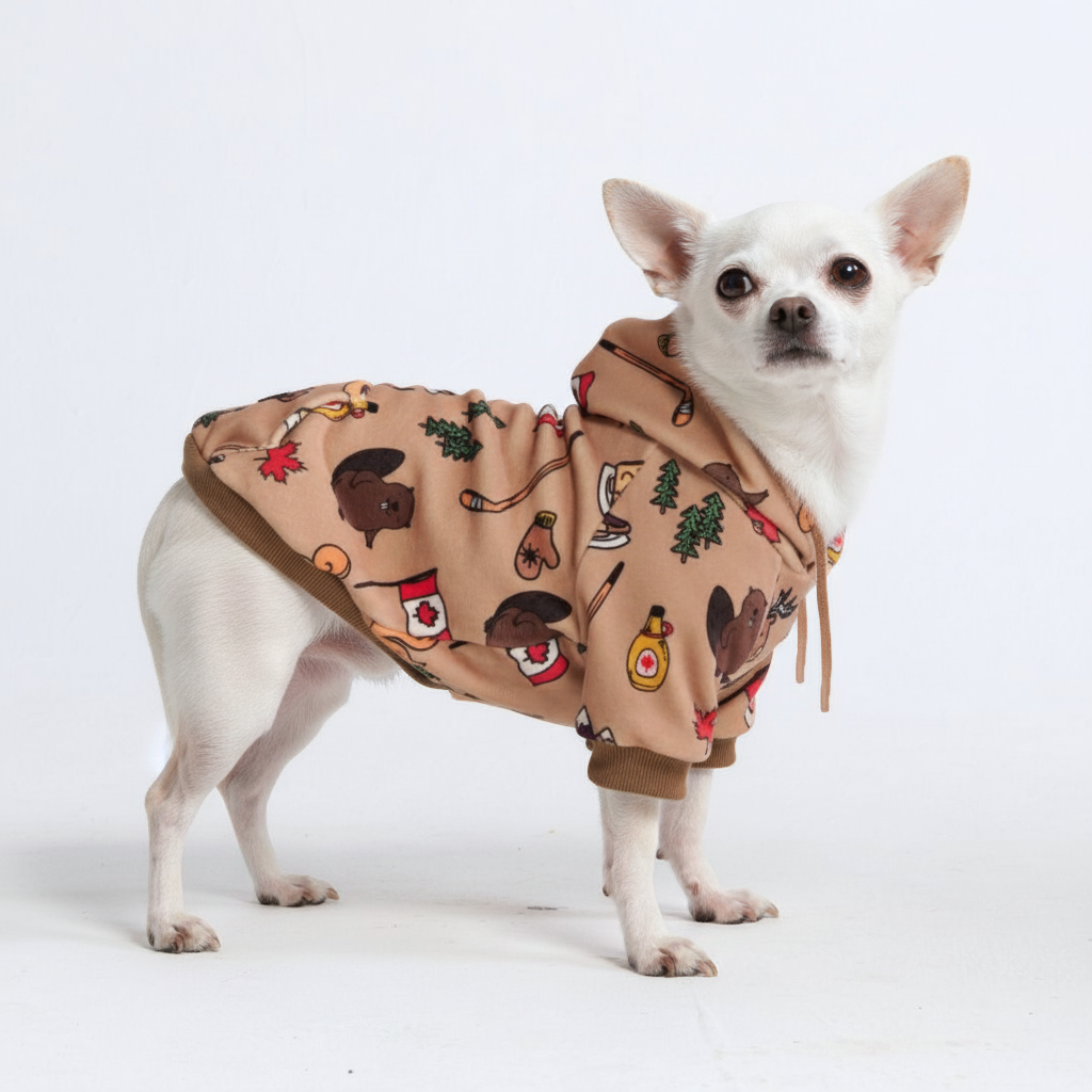 Around the World Dog Hoodies