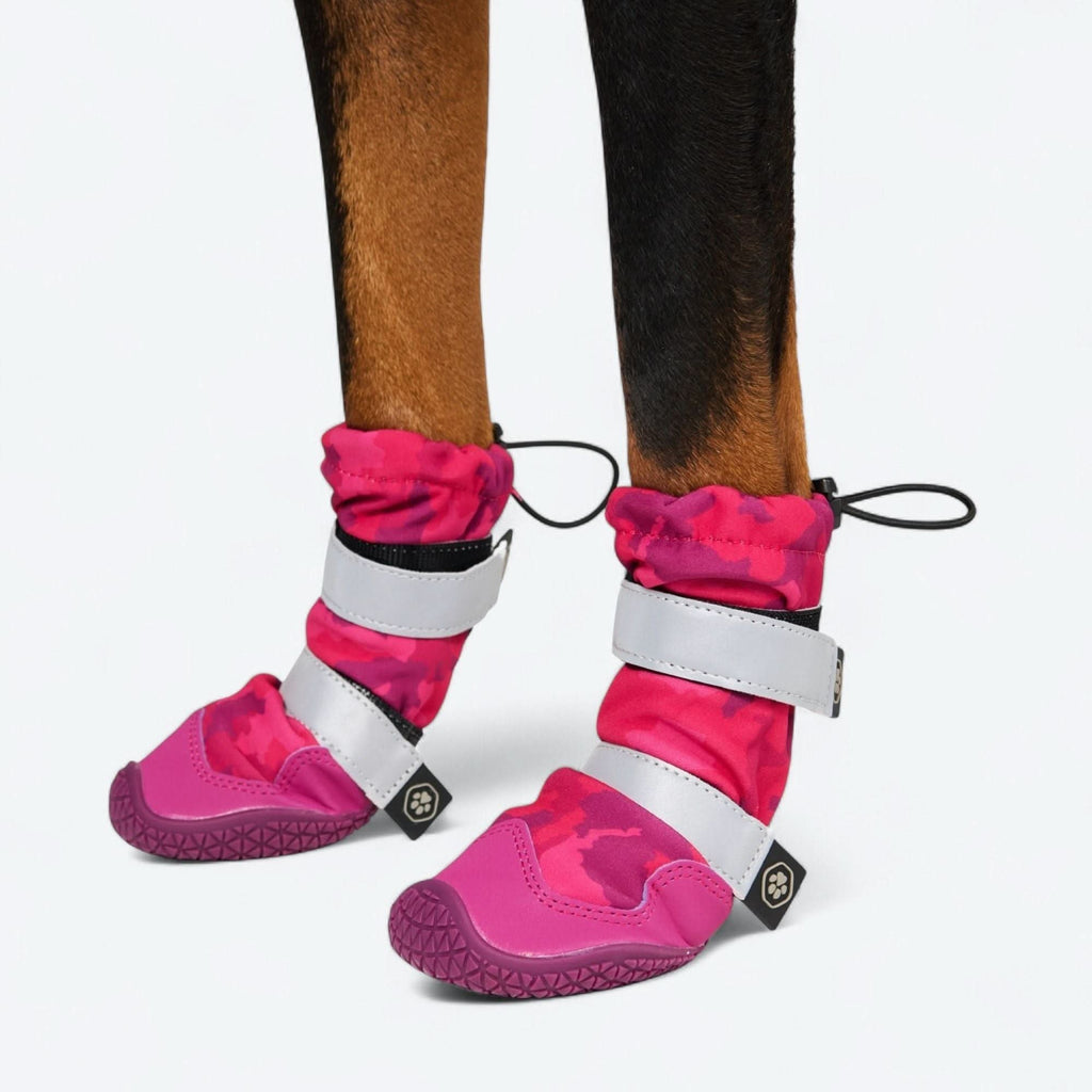Dog Rainboots. Waterproof Dog Shoes