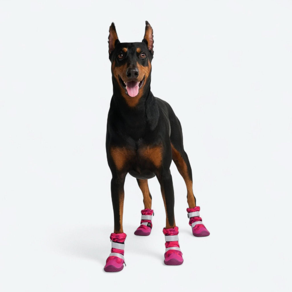Dog Rainboots. Waterproof Dog Shoes