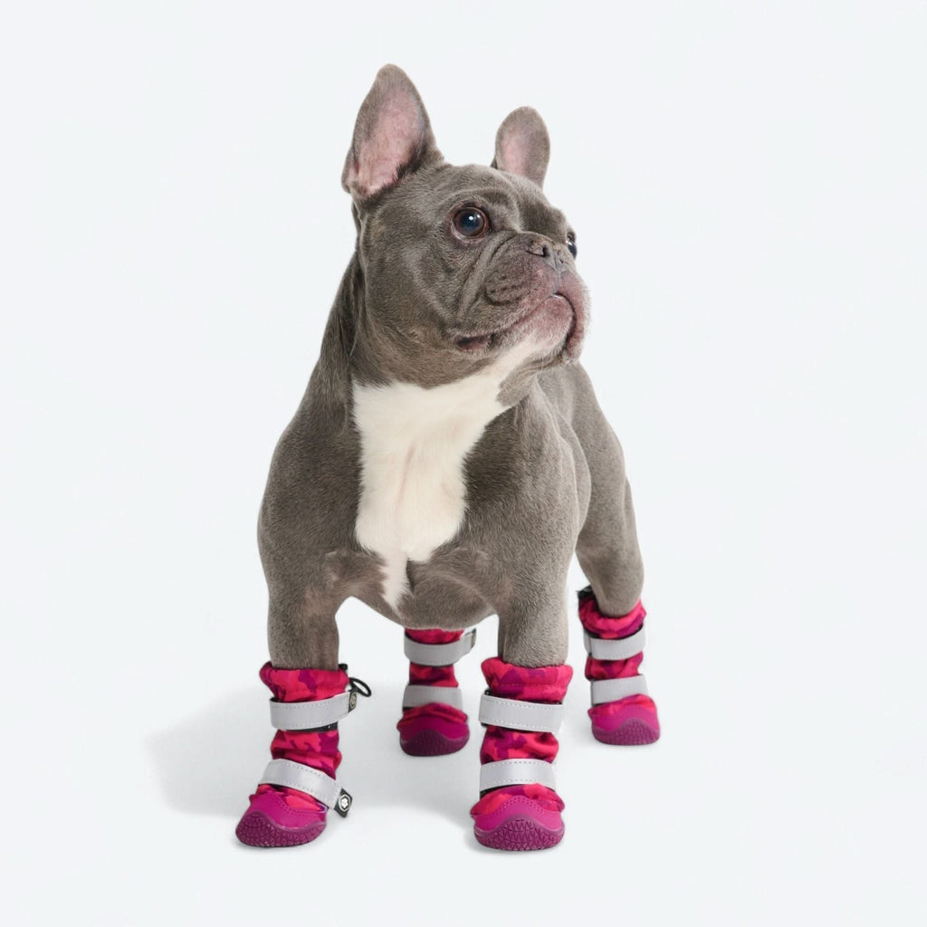 Dog Rainboots. Waterproof Dog Shoes