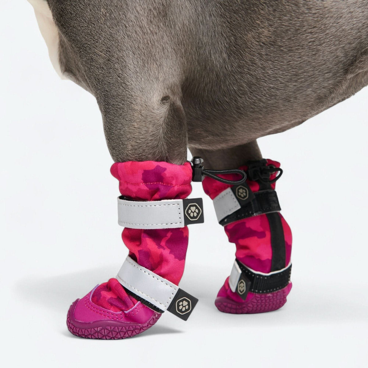 Dog Rainboots. Waterproof Dog Shoes