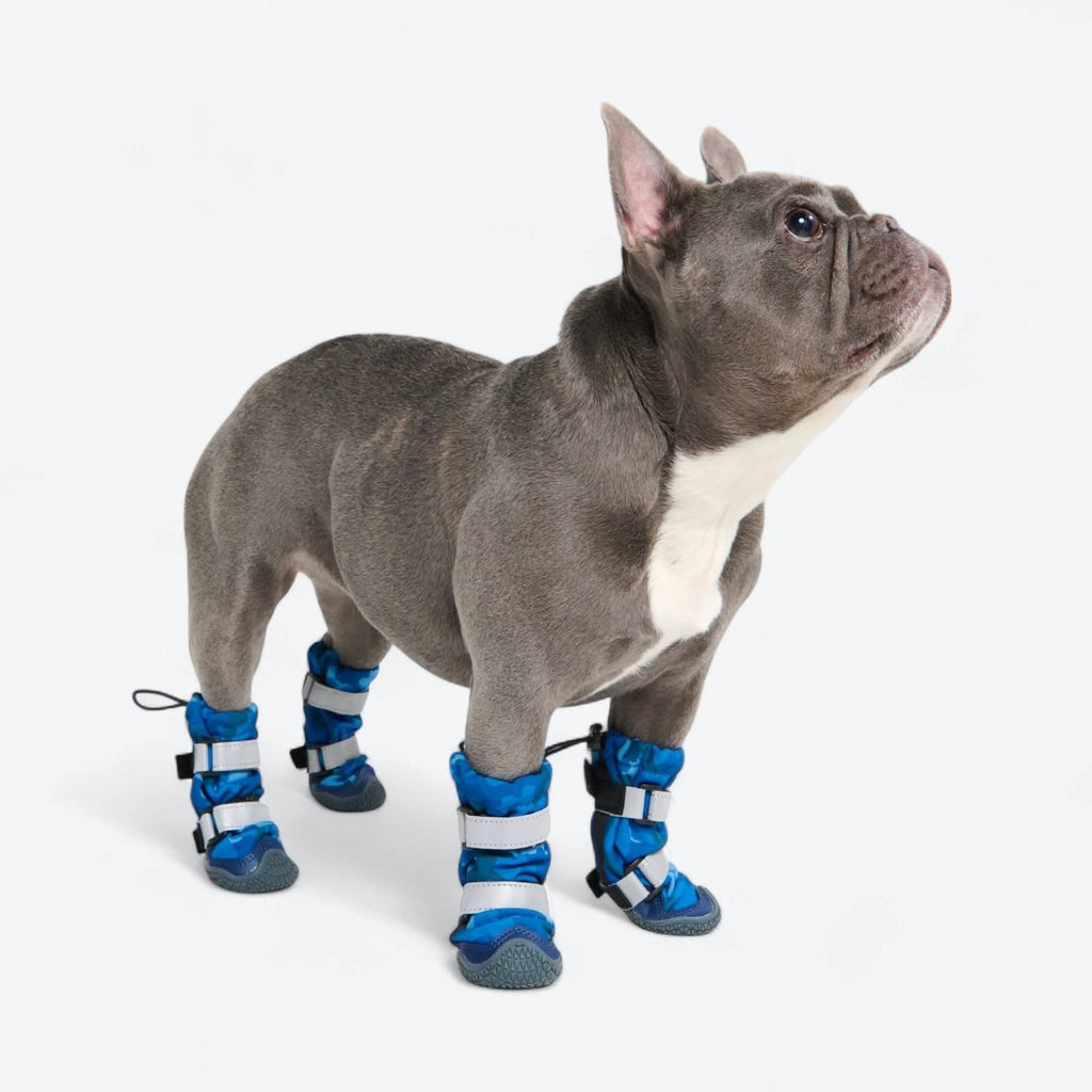 Dog Rainboots. Waterproof Dog Shoes