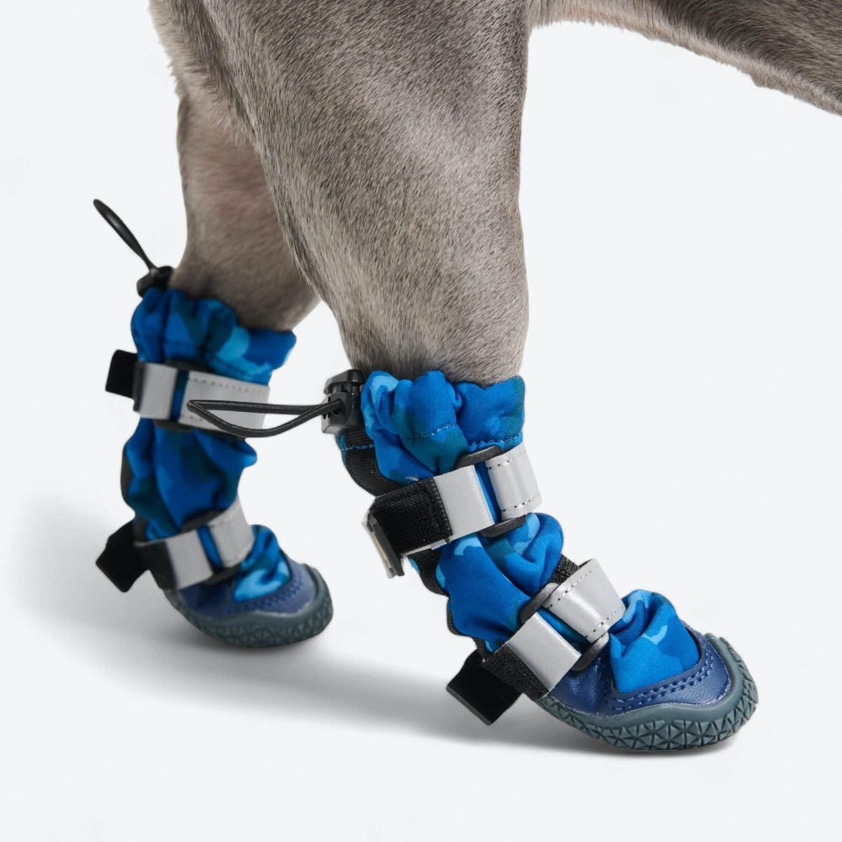 Dog Rainboots. Waterproof Dog Shoes