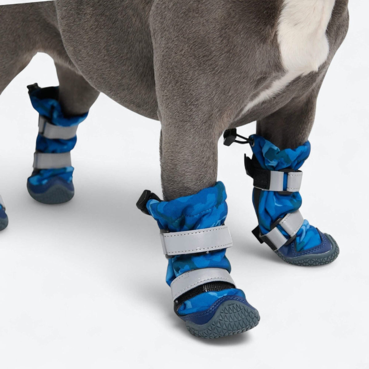 Dog Rainboots. Waterproof Dog Shoes