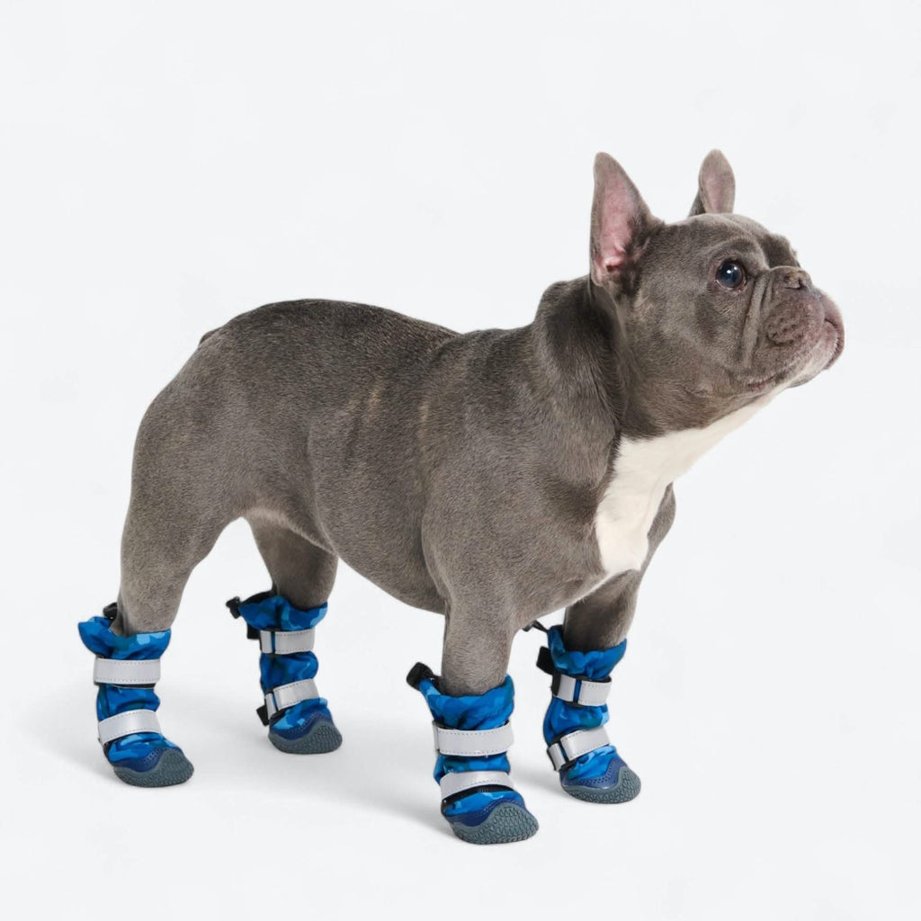Dog Rainboots. Waterproof Dog Shoes