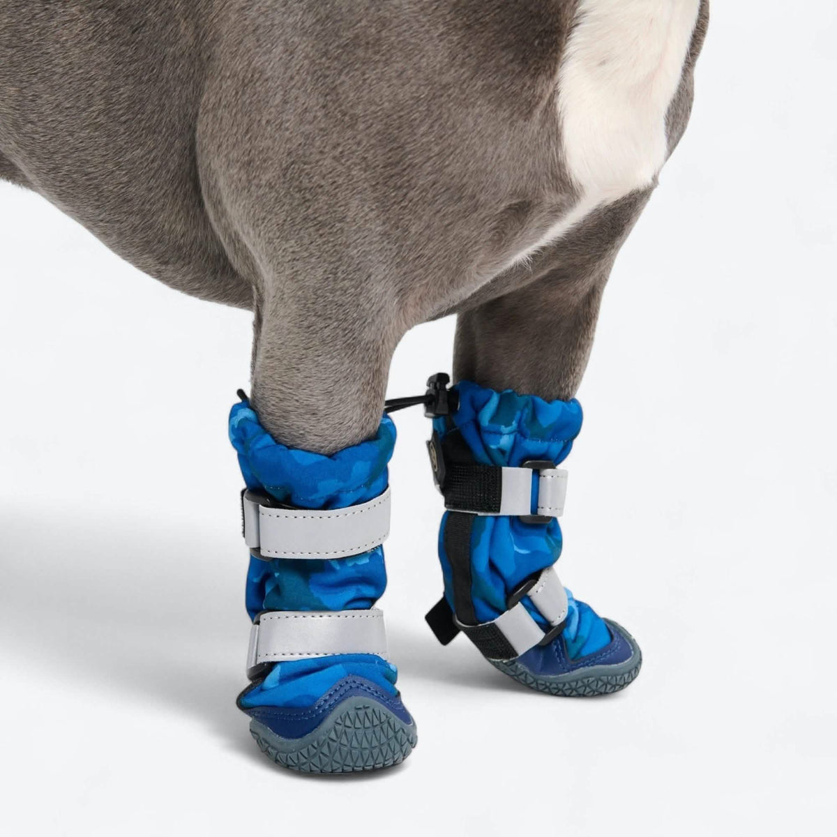 Dog Rainboots. Waterproof Dog Shoes