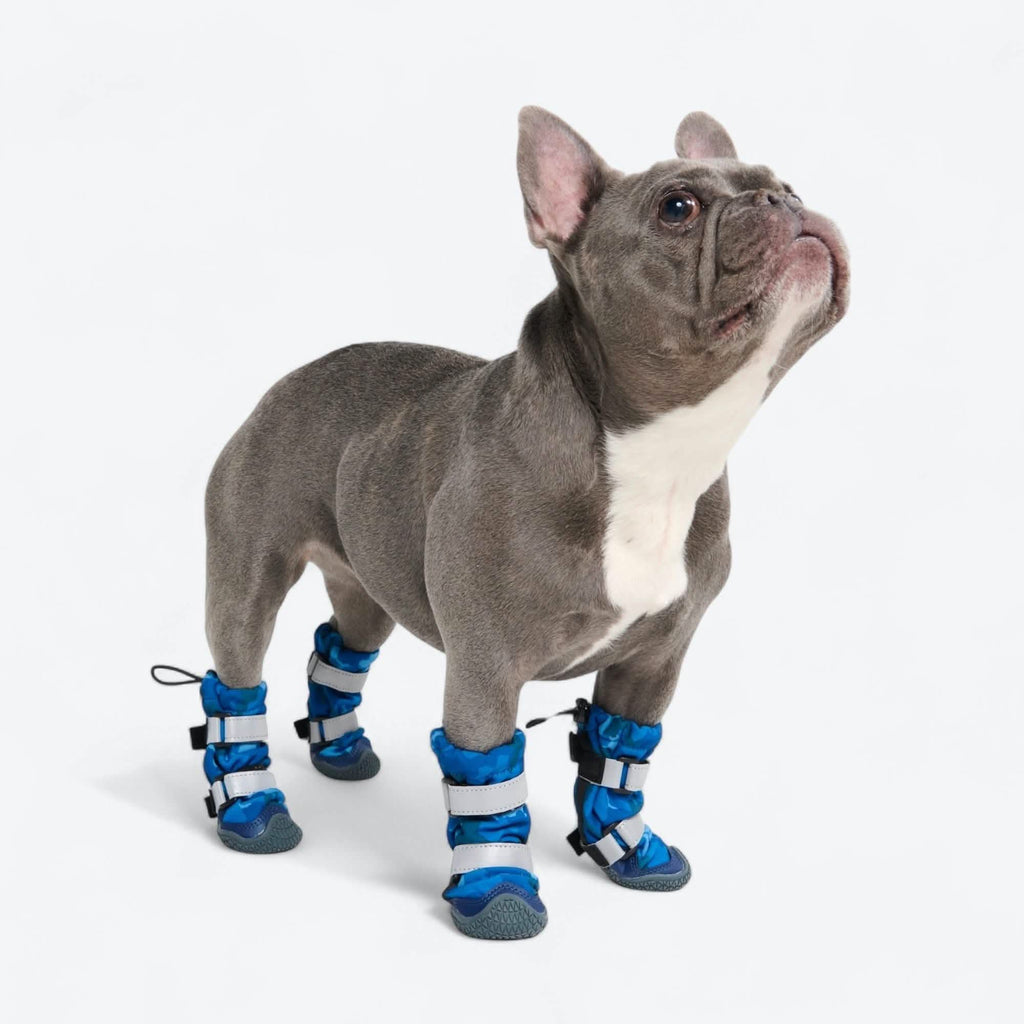 Dog Rainboots. Waterproof Dog Shoes