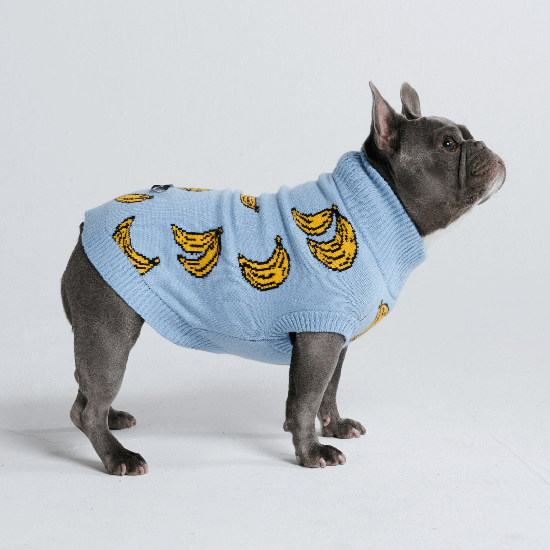 Knit Dog Sweater Prints