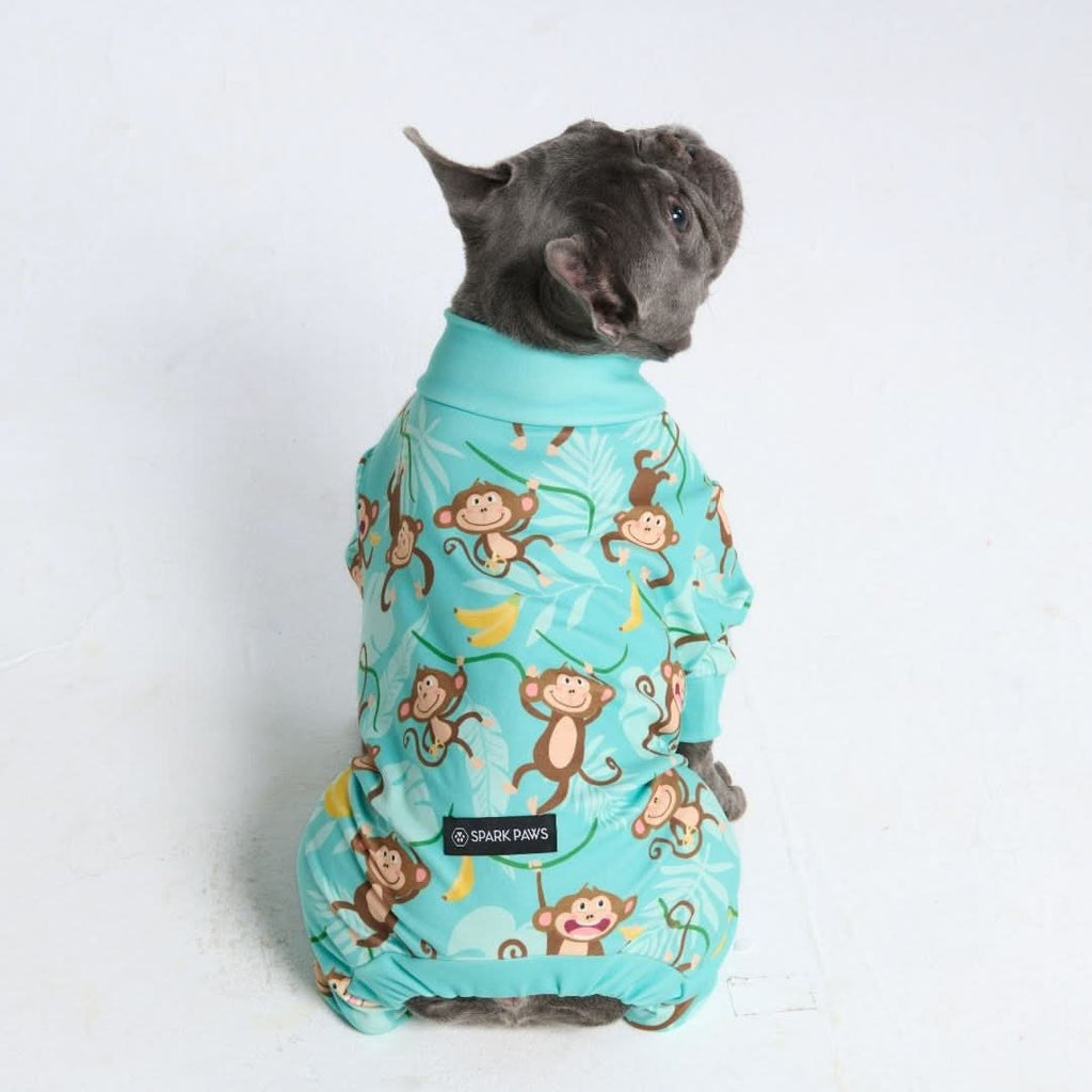 Dog Pajama Prints