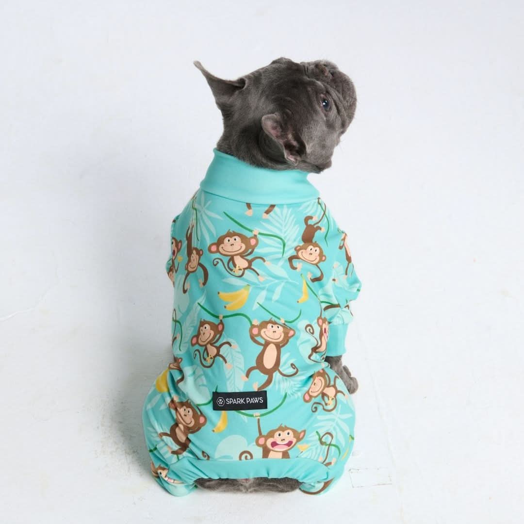 Dog Pajama Prints