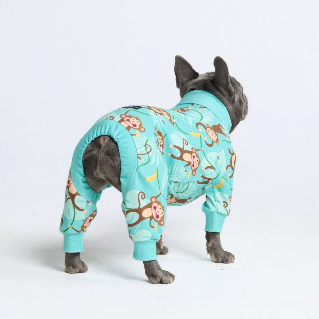 Dog Pajama Prints