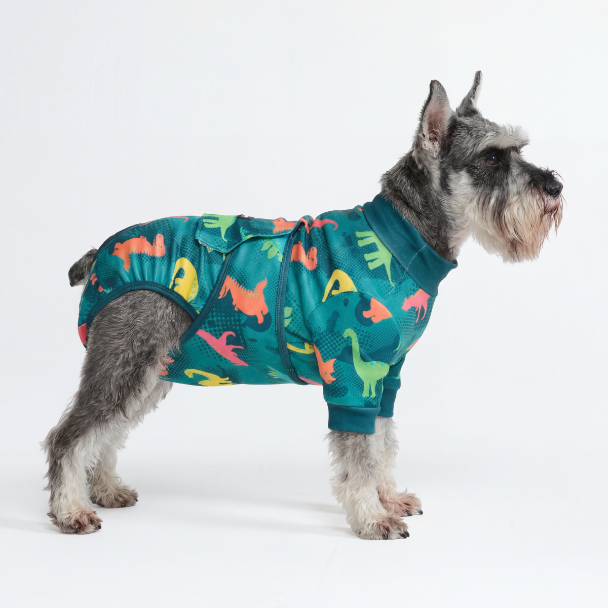 Dog Surgical Suit