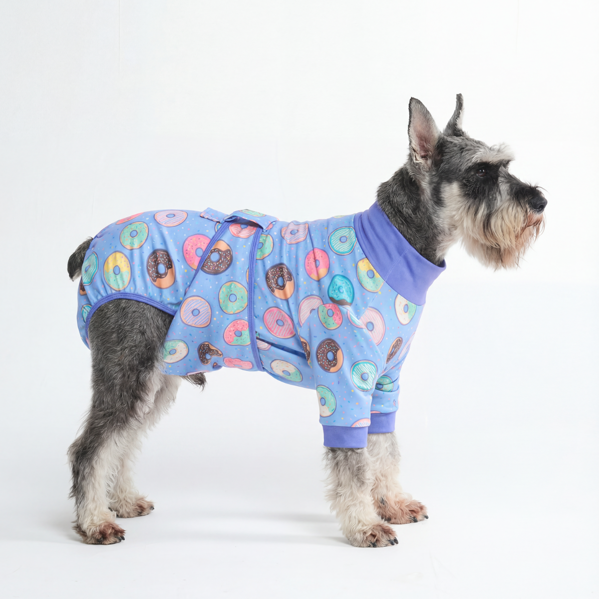 Dog Surgical Suit