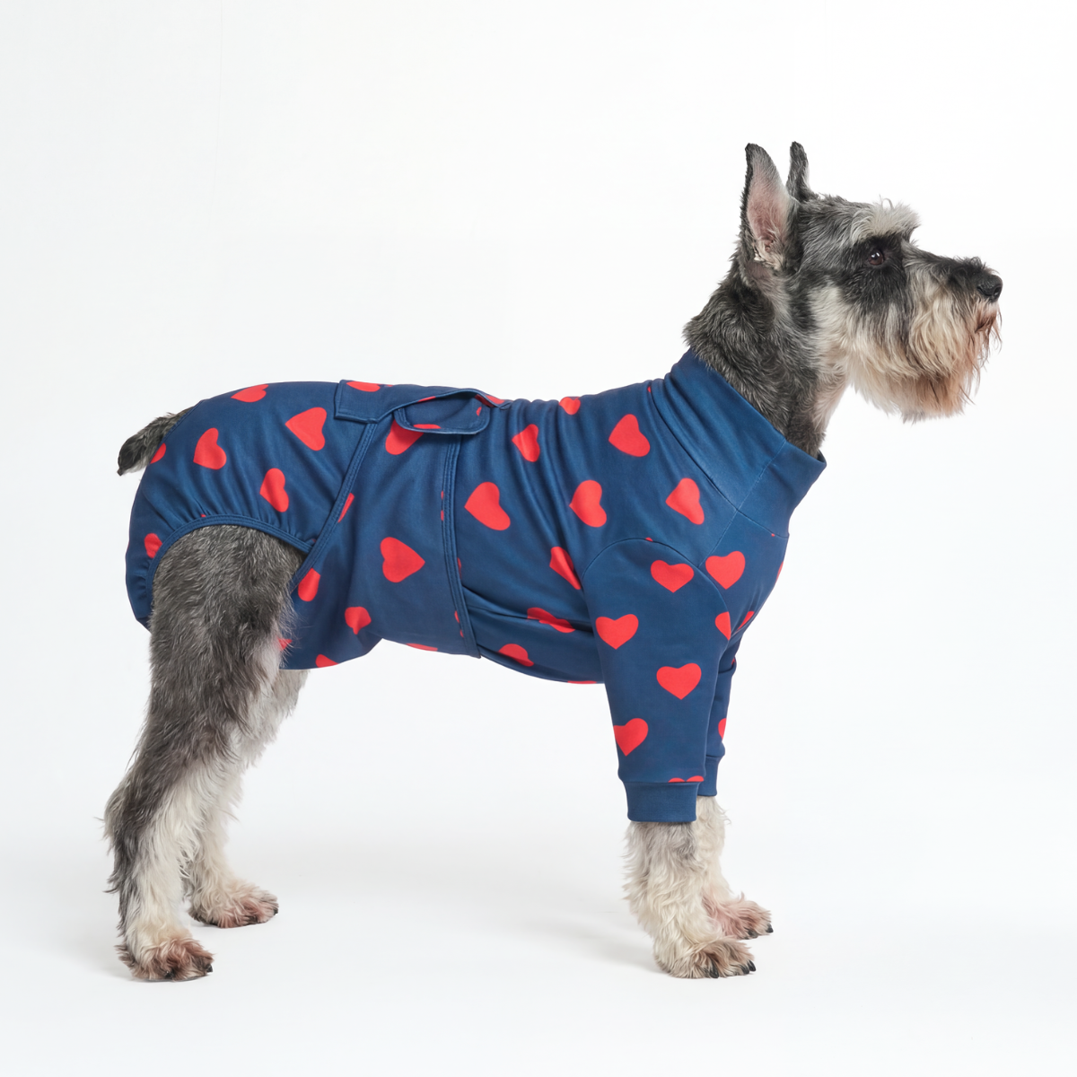 Dog Surgical Suit