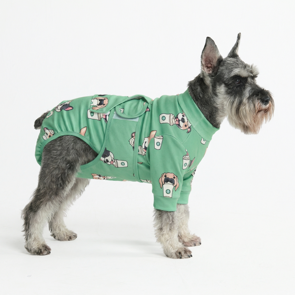 Dog Surgical Suit