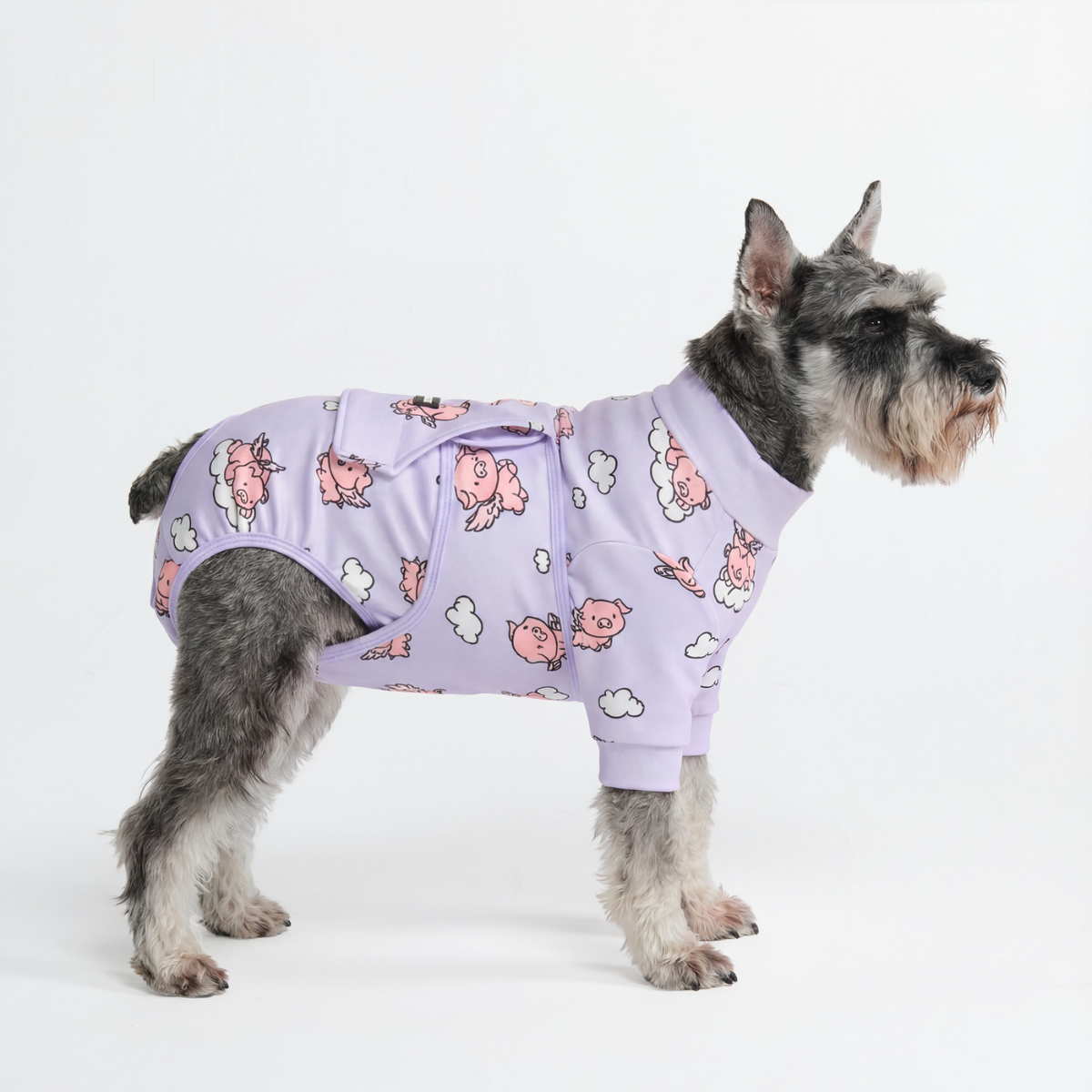 Dog Surgical Suit