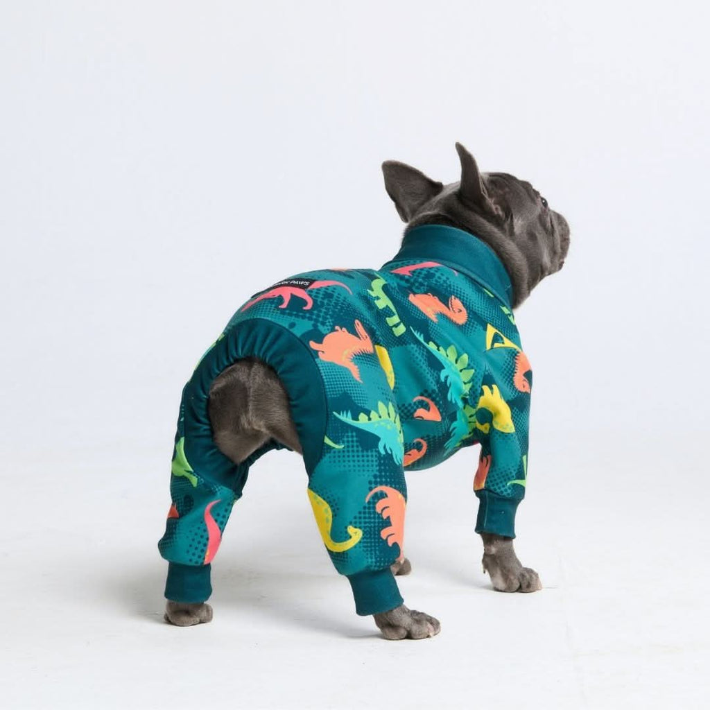 Dog Pajama Prints