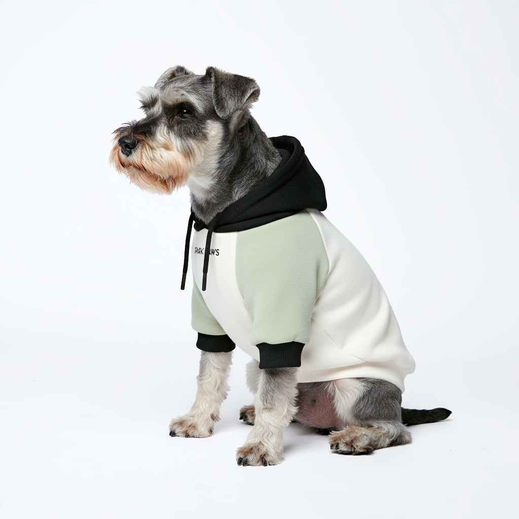 Color Block Dog Hoodies