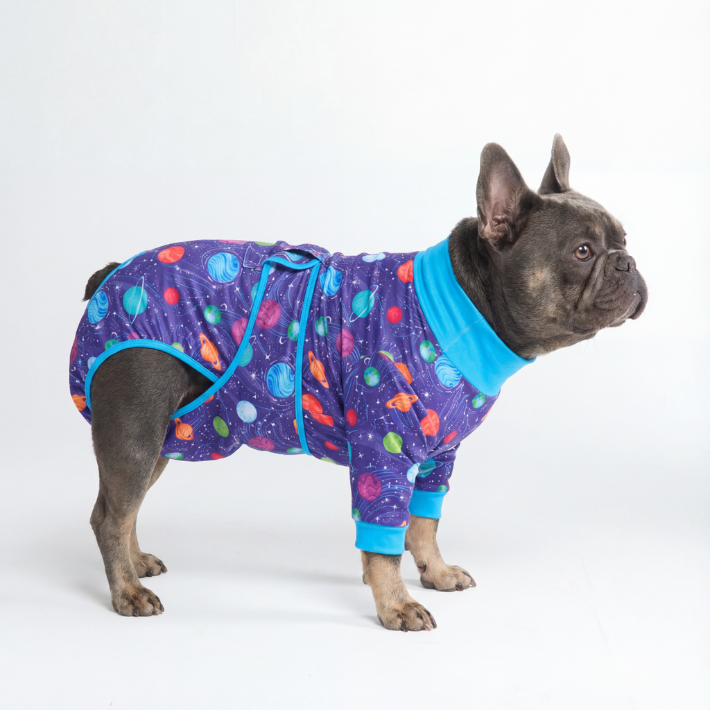 Dog Surgical Suit
