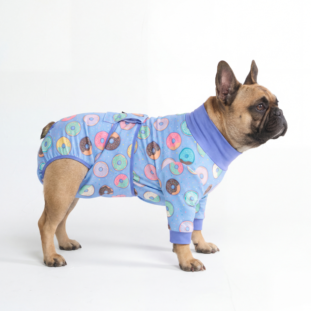 Dog Surgical Suit