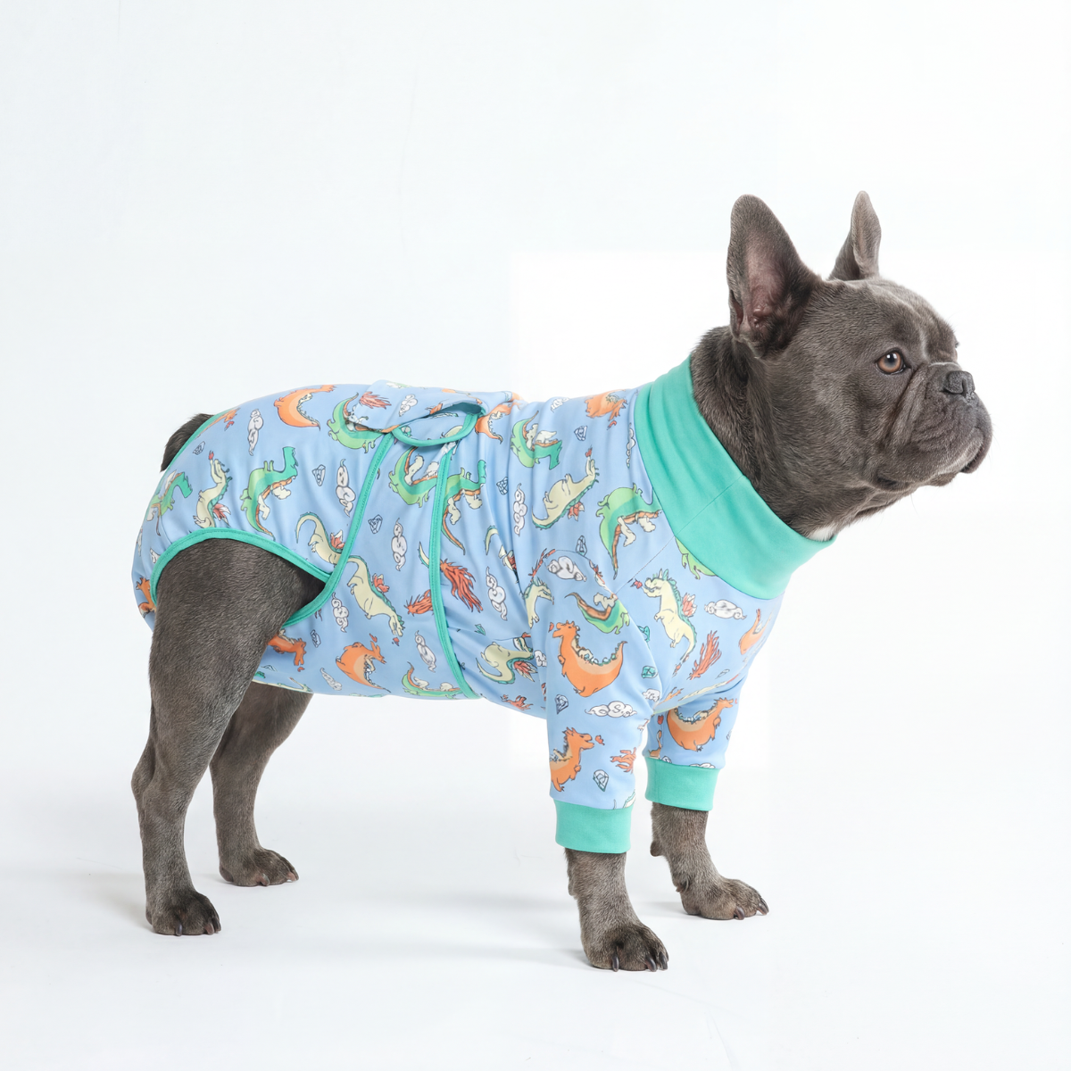 Dog Surgical Suit