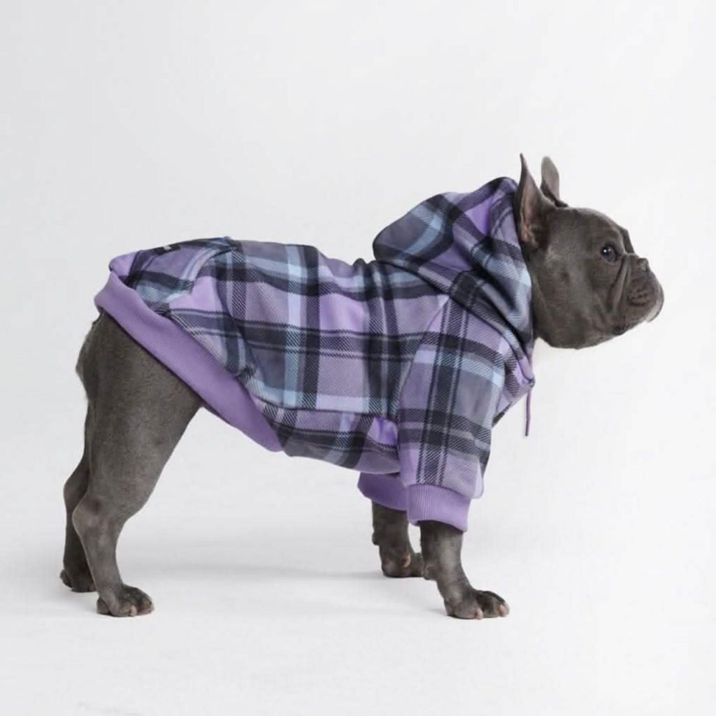 Plaid Dog Hoodies