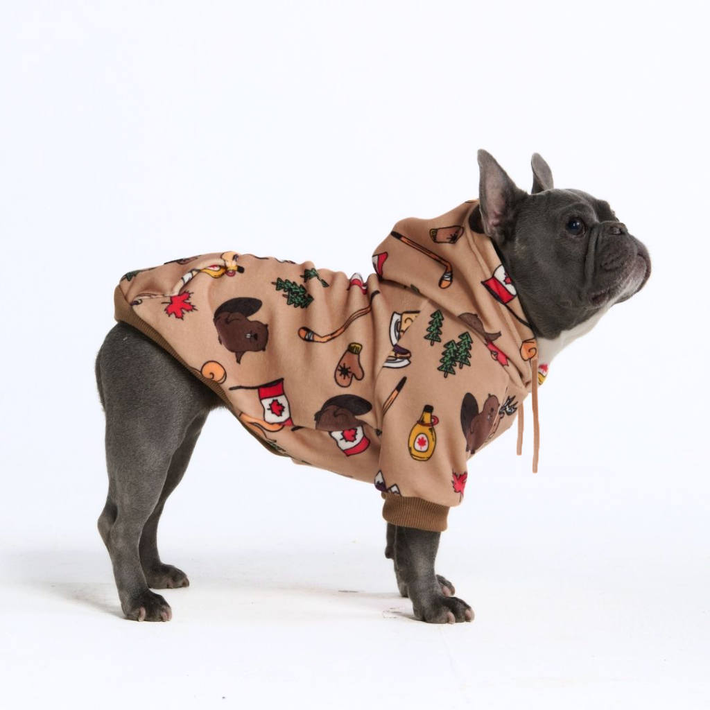 Around the World Dog Hoodies