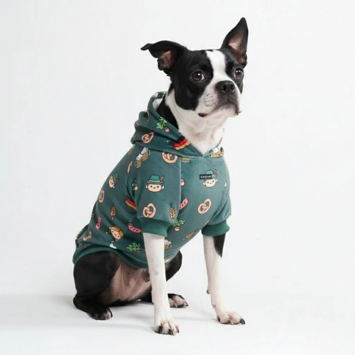 Around the World Dog Hoodies