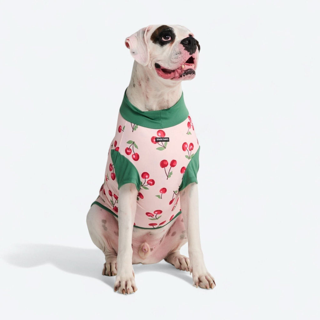 Sunblock Dog T-Shirt - Prints