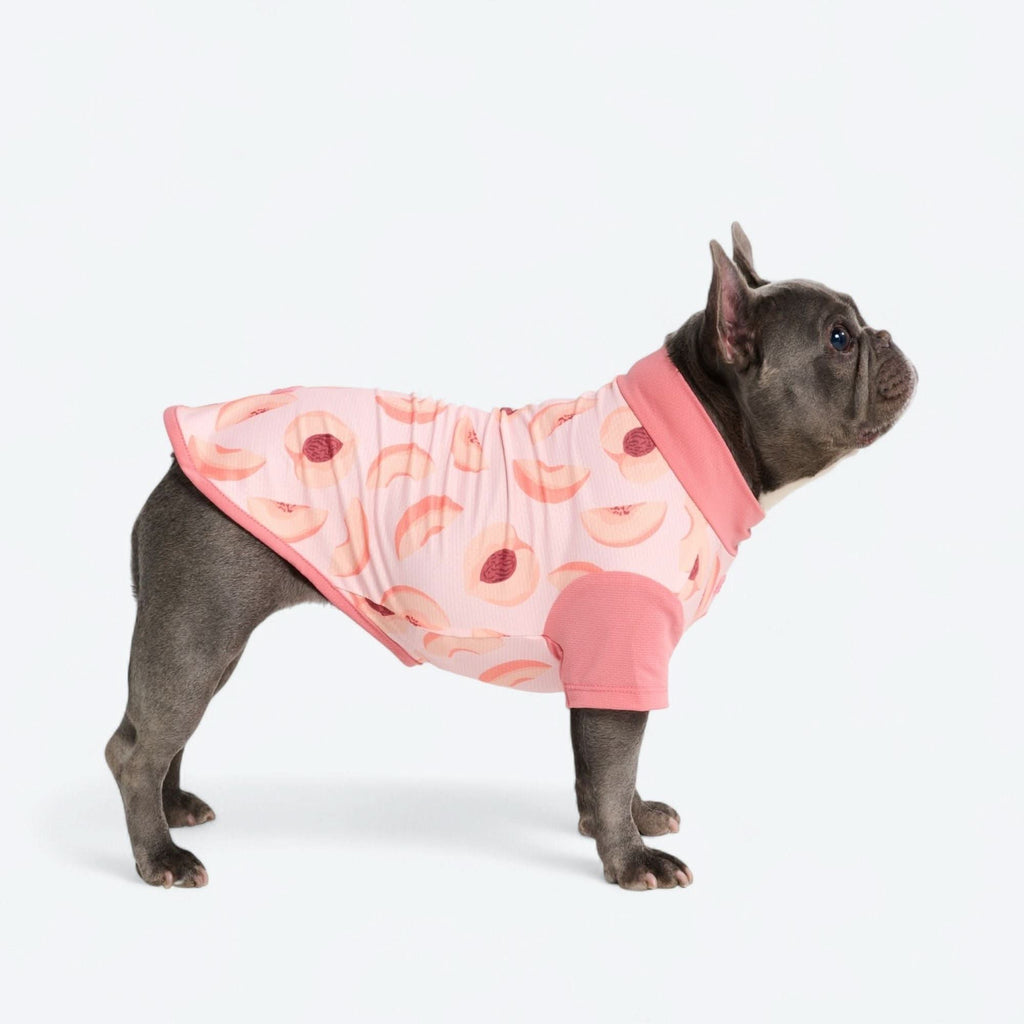 Sunblock Dog T-Shirt - Prints