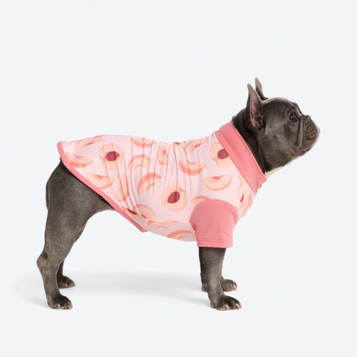 Sunblock Dog T-Shirt - Prints