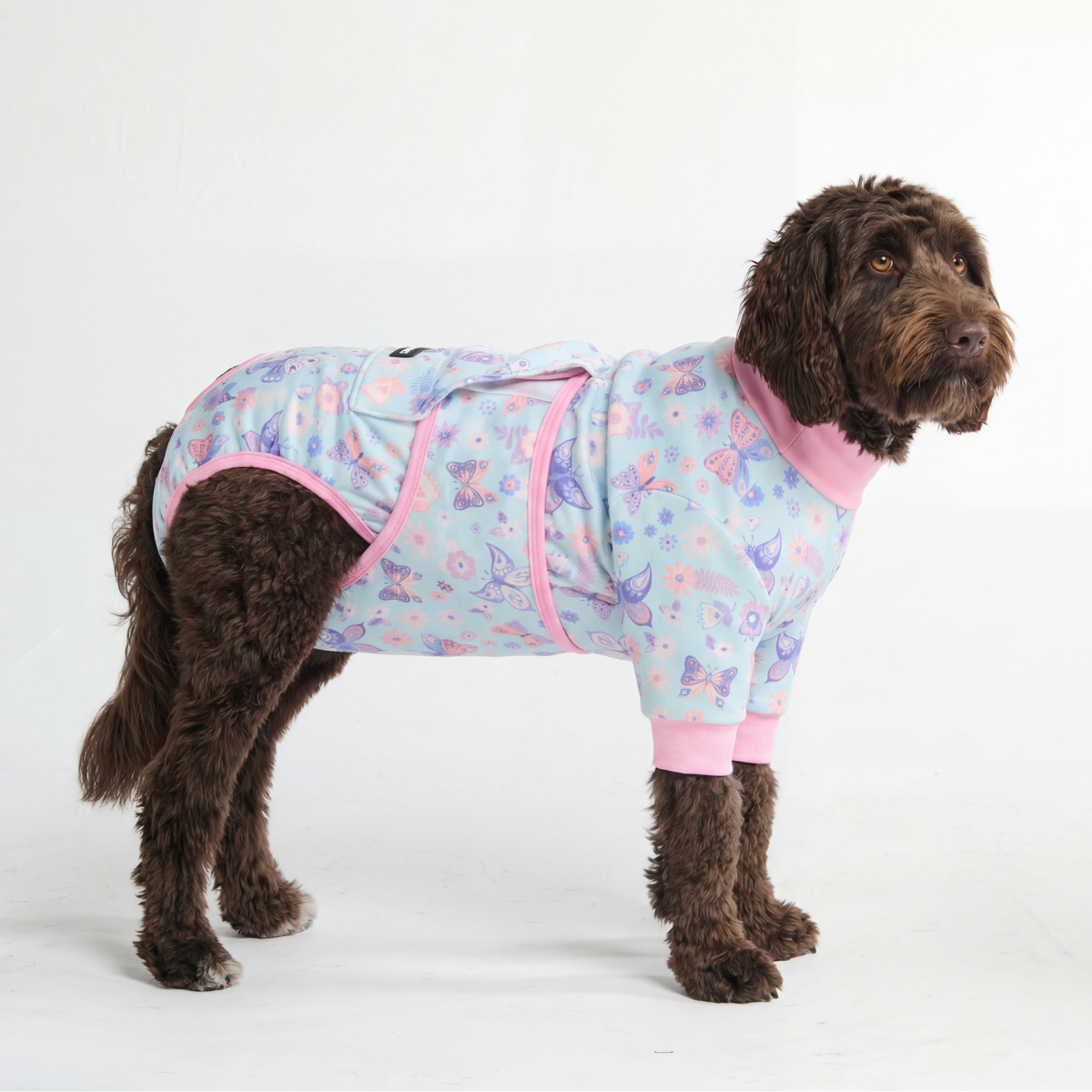 Dog Surgical Suit