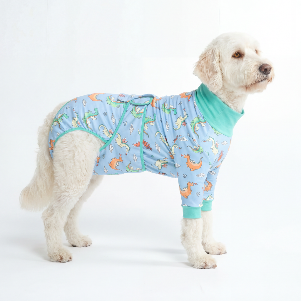 Dog Surgical Suit