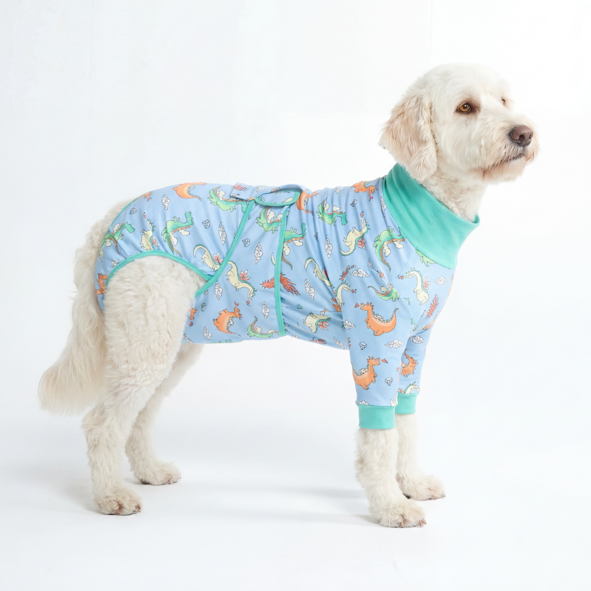 Dog Surgical Suit