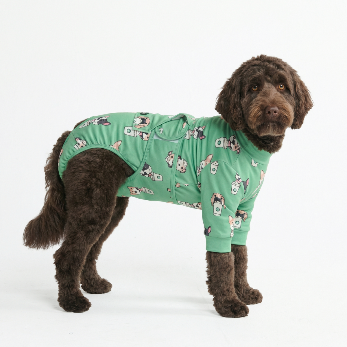 Dog Surgical Suit
