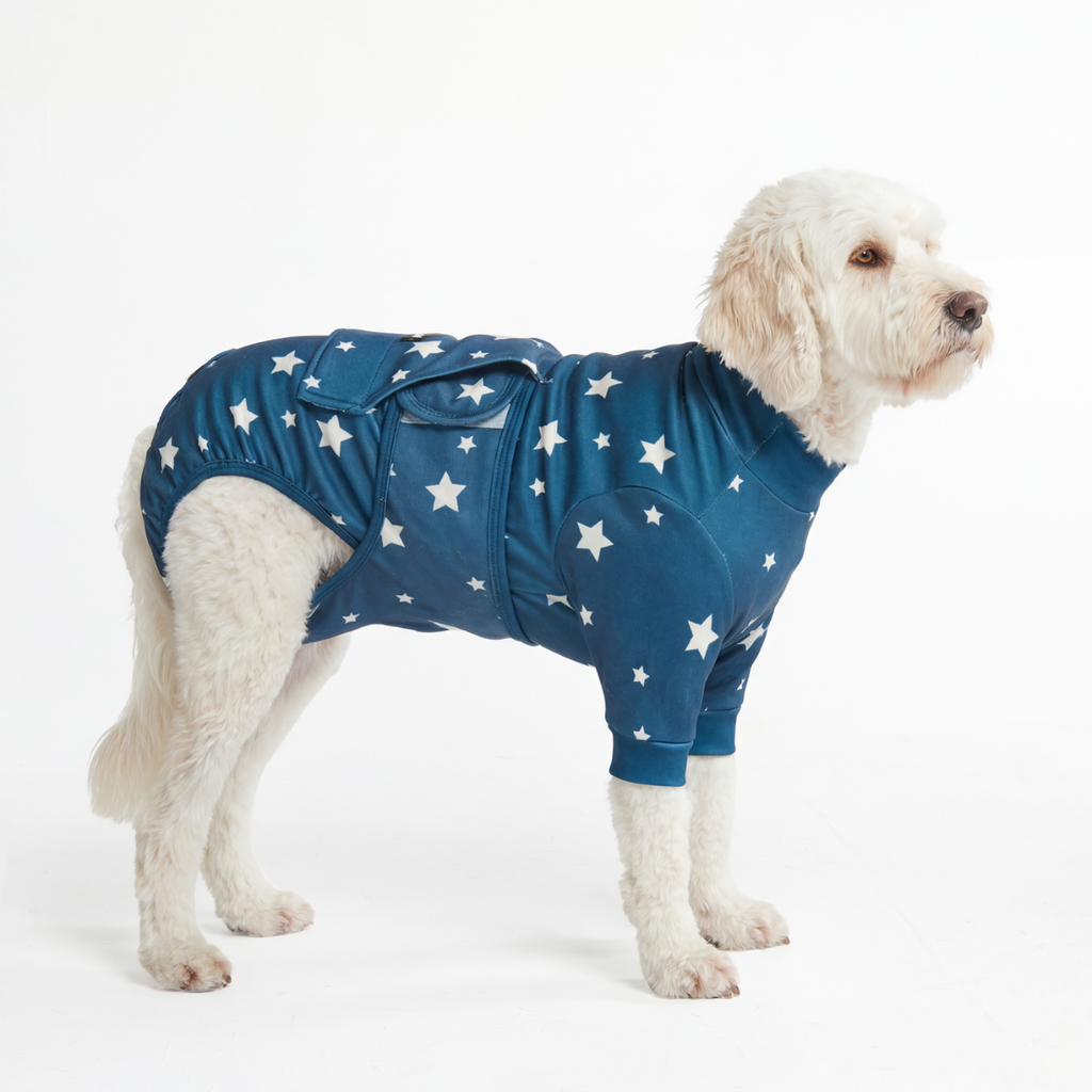 Dog Surgical Suit