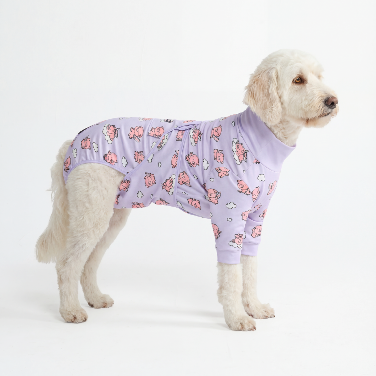Dog Surgical Suit