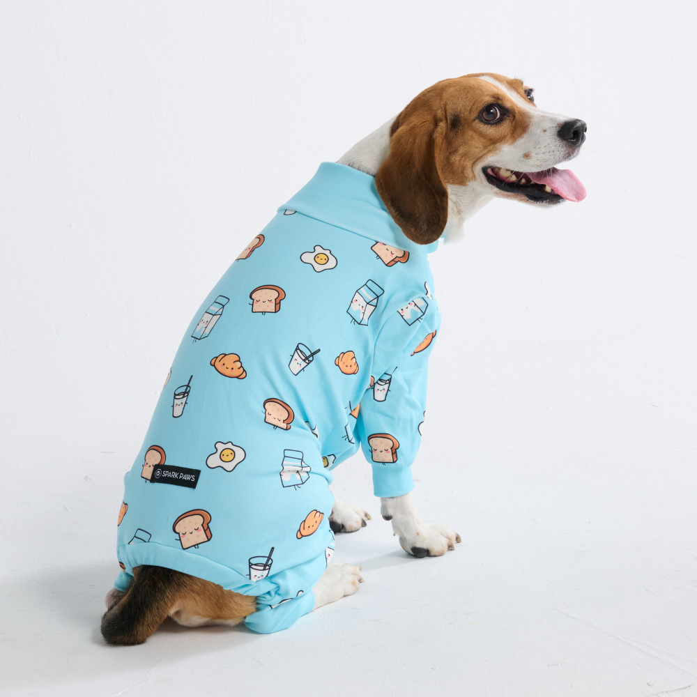Dog Pajama Prints