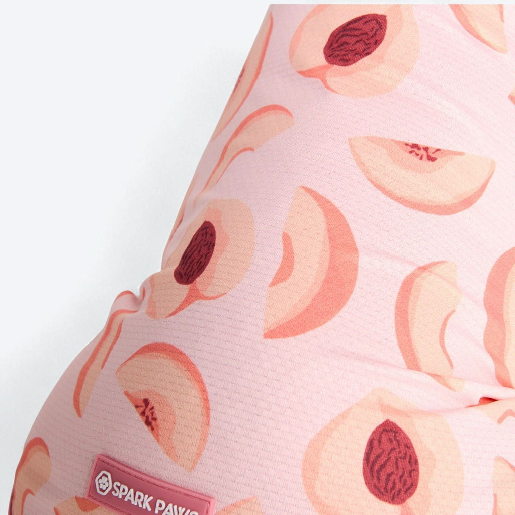 Sunblock Dog T-Shirt - Prints