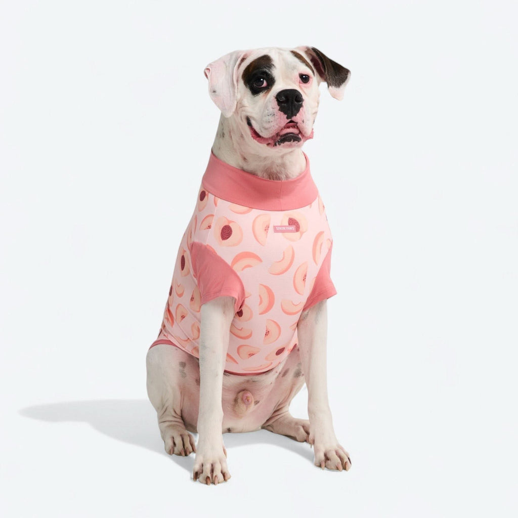 Sunblock Dog T-Shirt - Prints