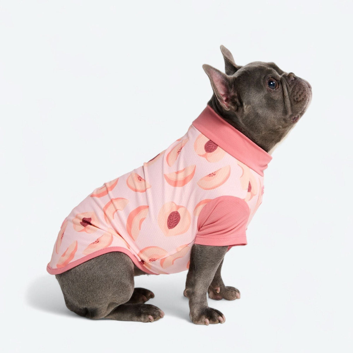Sunblock Dog T-Shirt - Prints