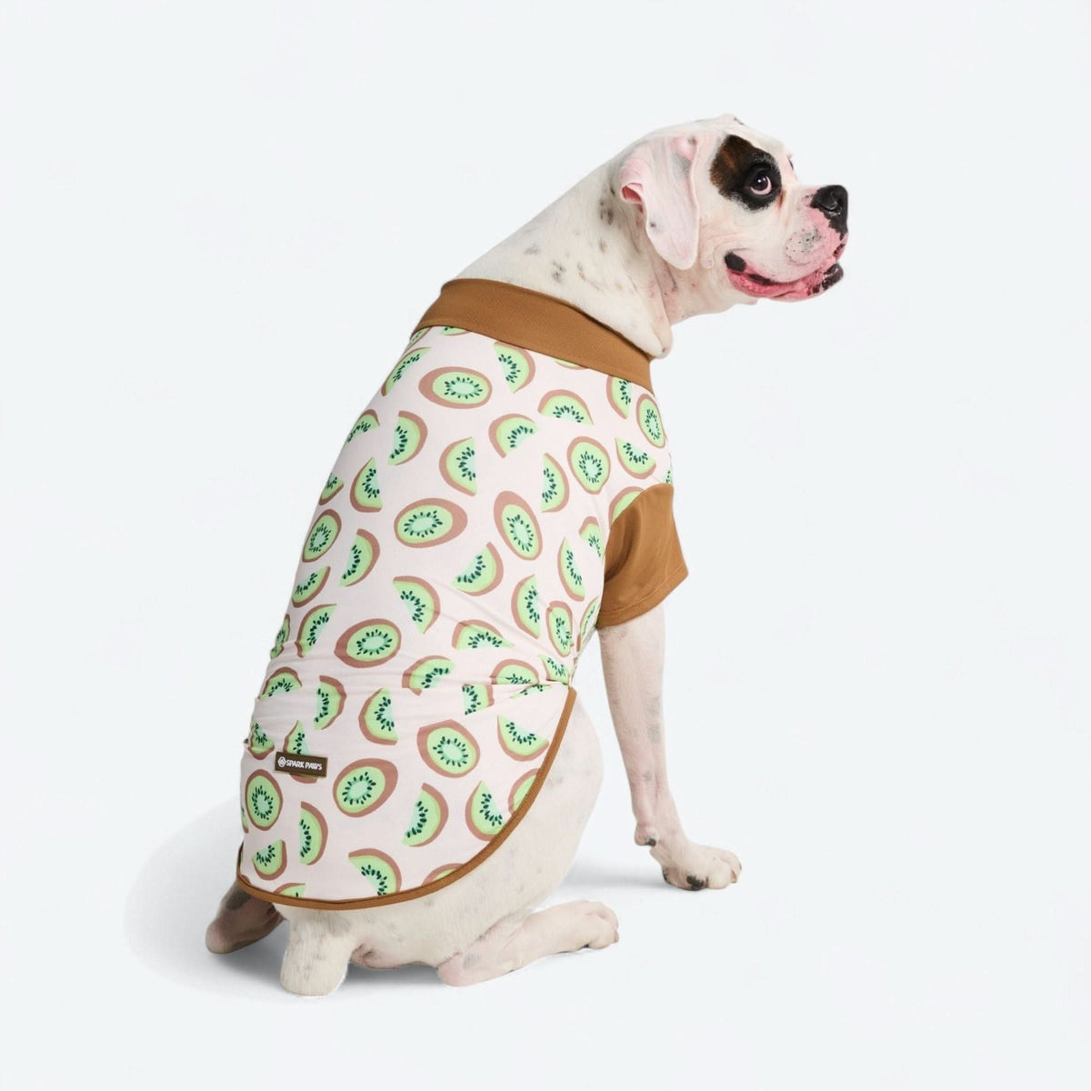 Sunblock Dog T-Shirt - Prints