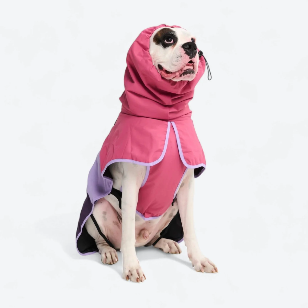 Breatheshield™ Dog Raincoats