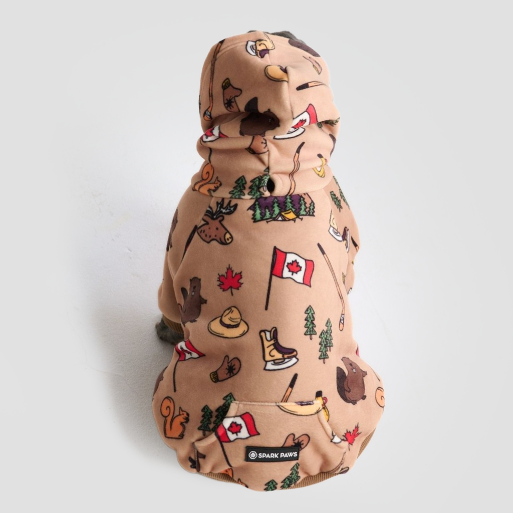 Around the World Dog Hoodies