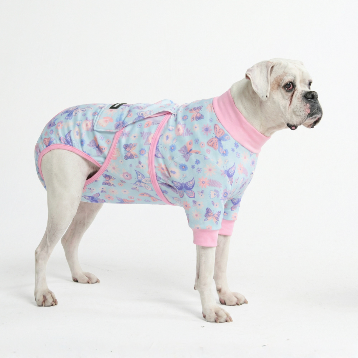 Dog Surgical Suit